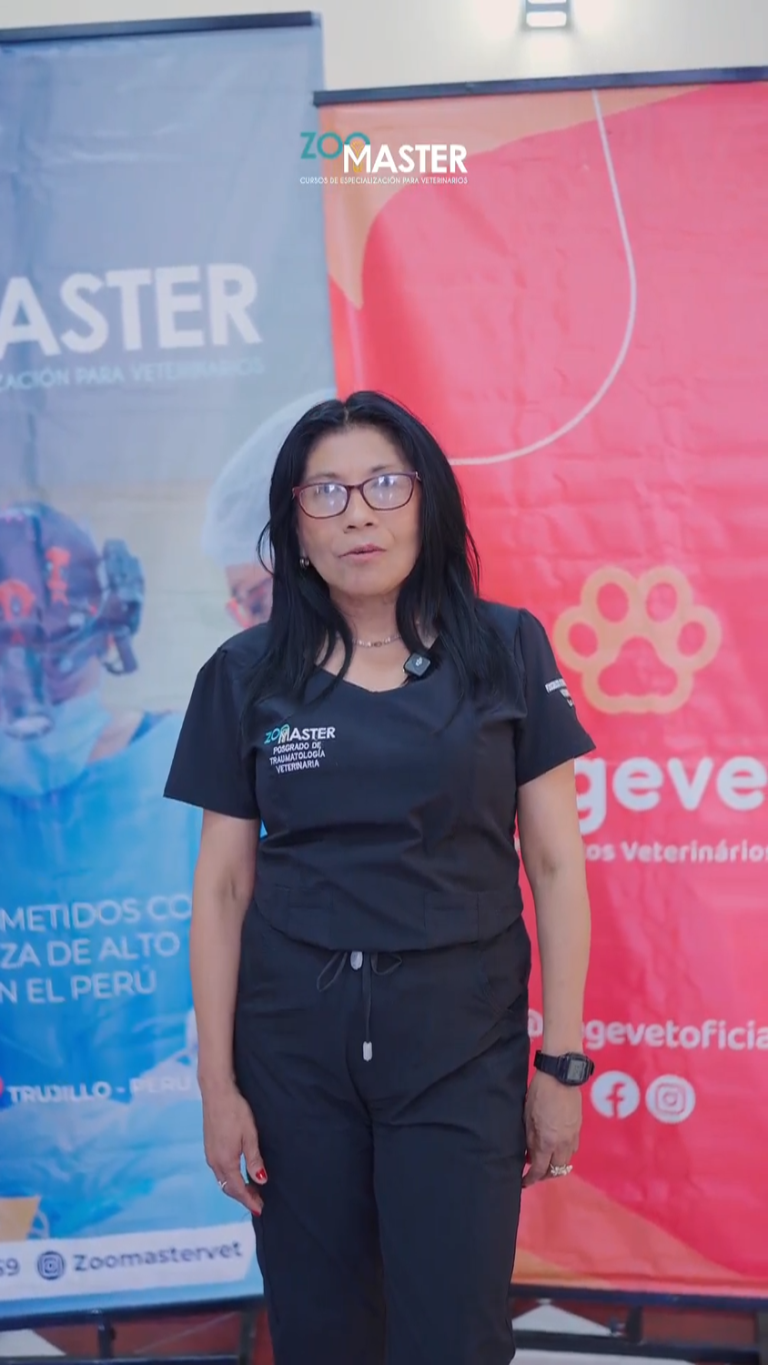 Testimonio Trauma Silvia Chavez
